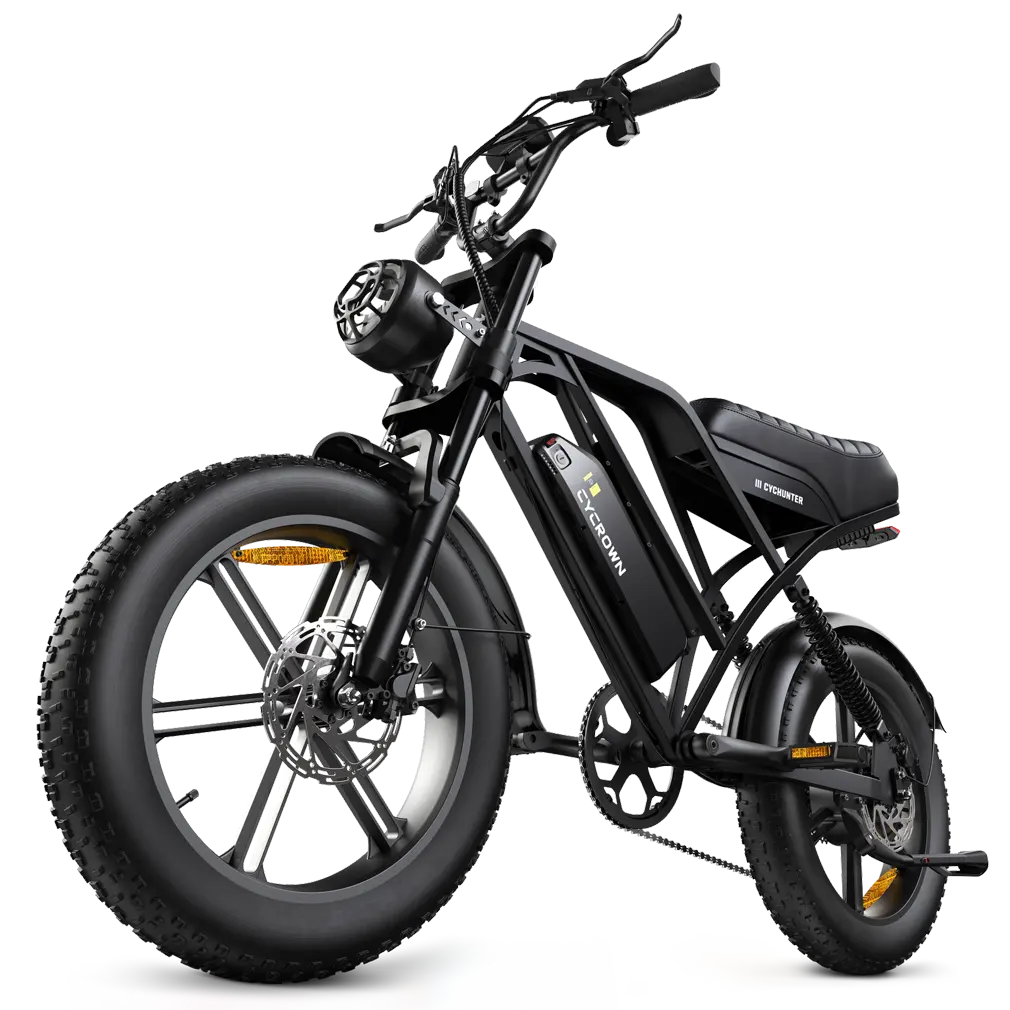 CycHunter 2.0