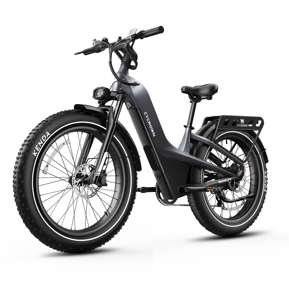 Nomad Pro
